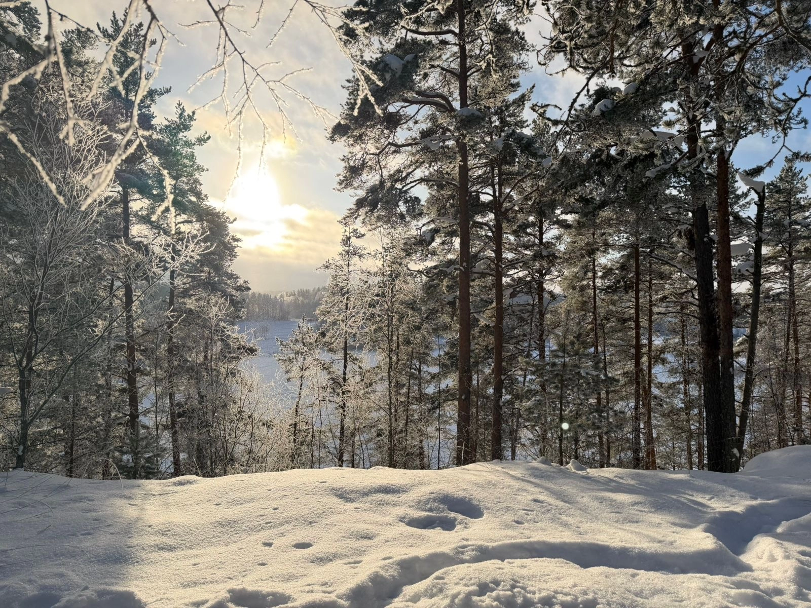 Фото Походы и прогулки